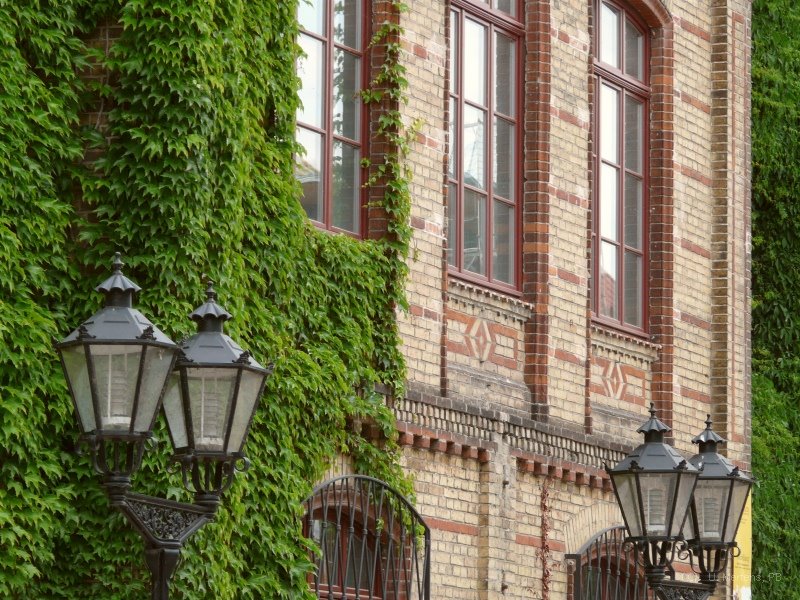Museum