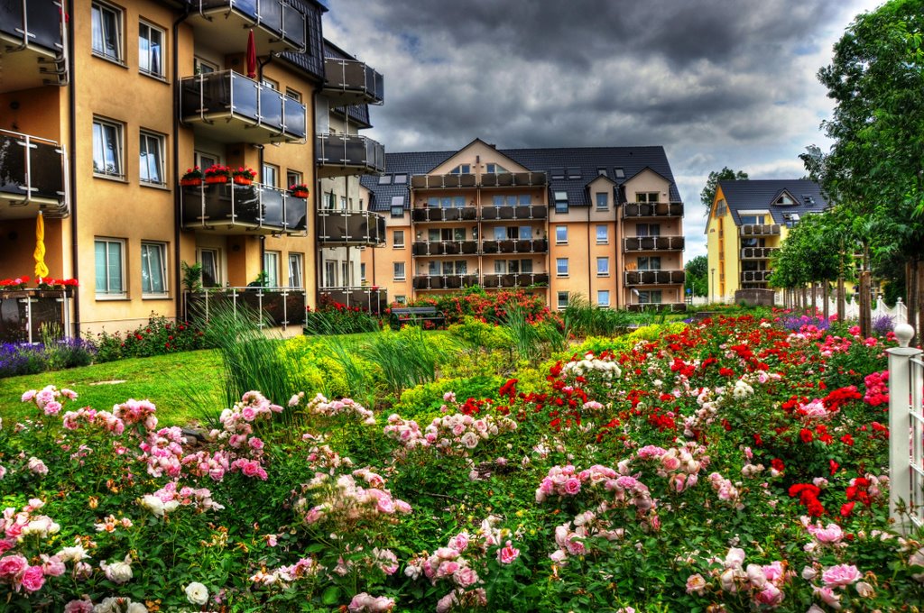 Rosengarten