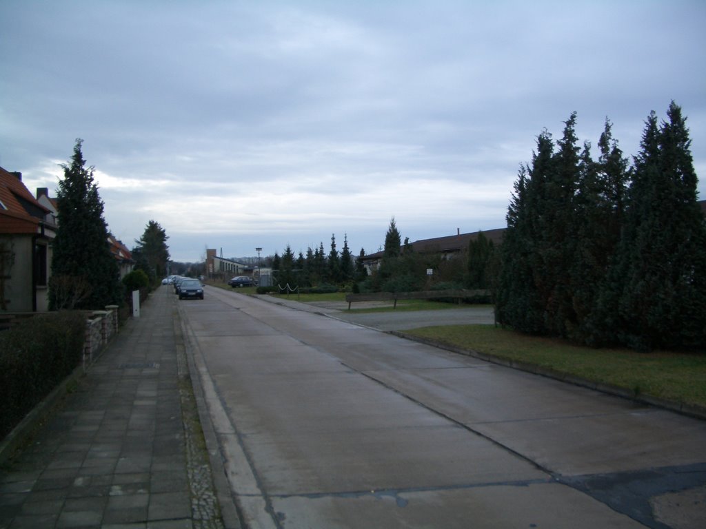 Holzweg