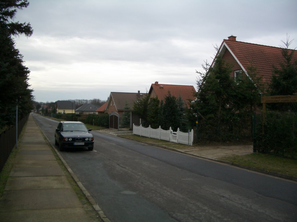 Holzweg