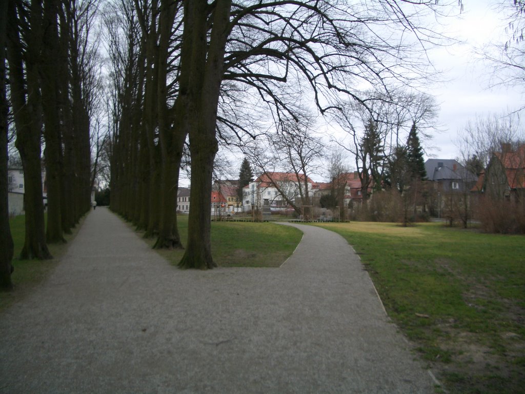 Weggabelung