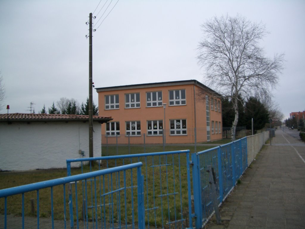 "Schul-Würfel"