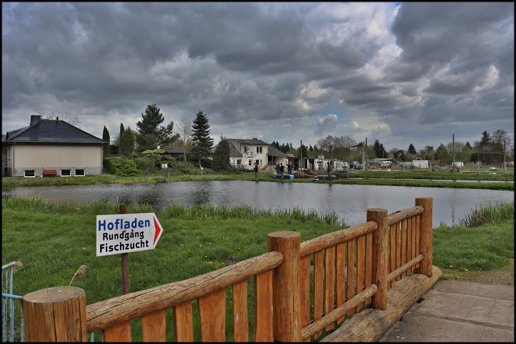 Gardelegen, Fischerhof Gahrns. Blick zum Hofladen und zur Aufzuchtanlage.