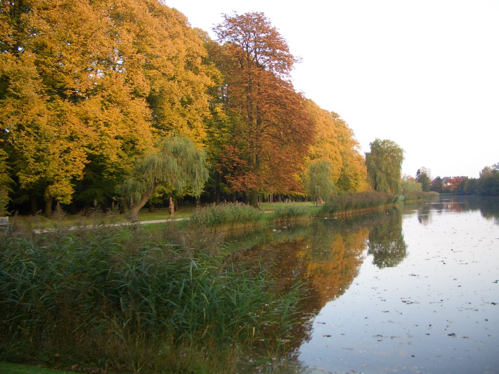 Stadtgraben im Herbstgewand