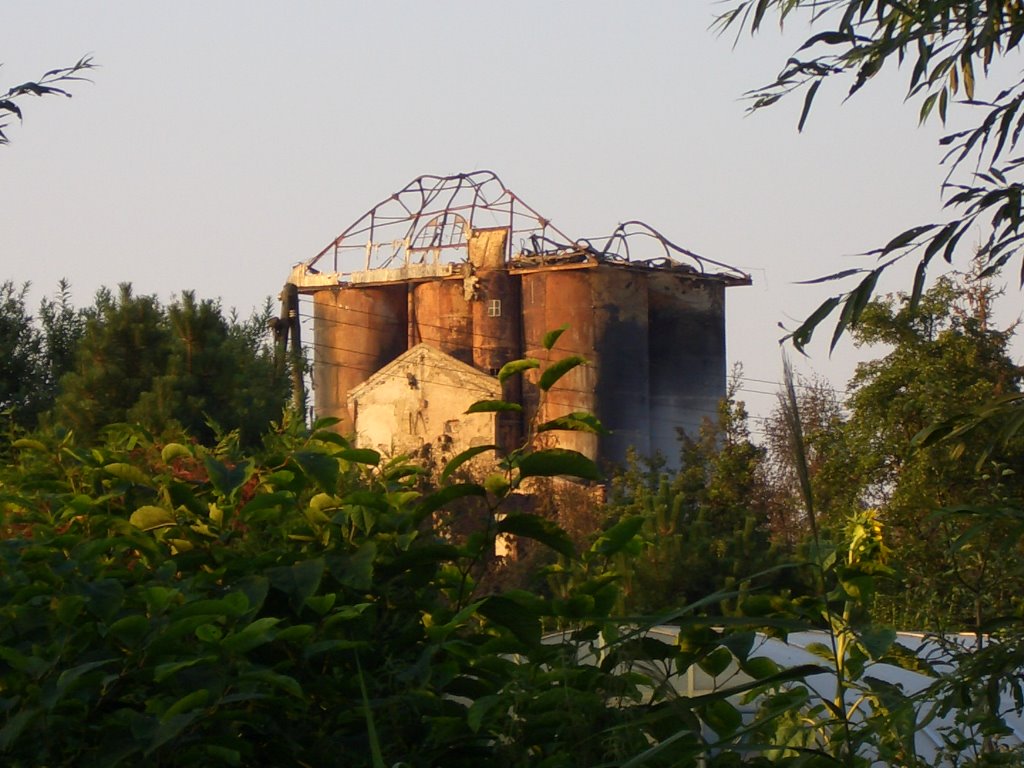 Brandruine Walzmühle