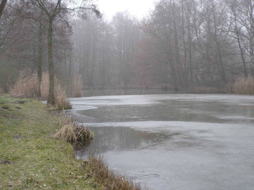 Teich