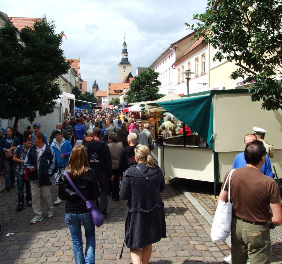 Gardelegen, Sachsen-Anhalt-Tag 2011