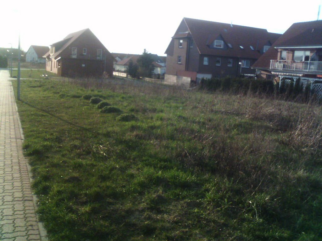 Ein Teil des von-Alvensleben Ring