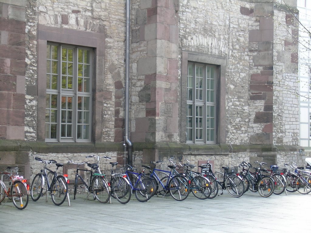 Fahrräder bei der alten Unibibliothek in Göttingen