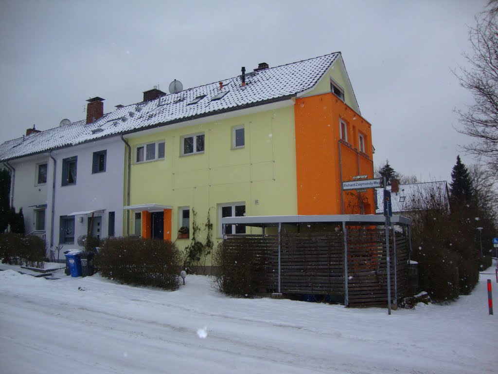 Richard-Zsigmondy-Weg