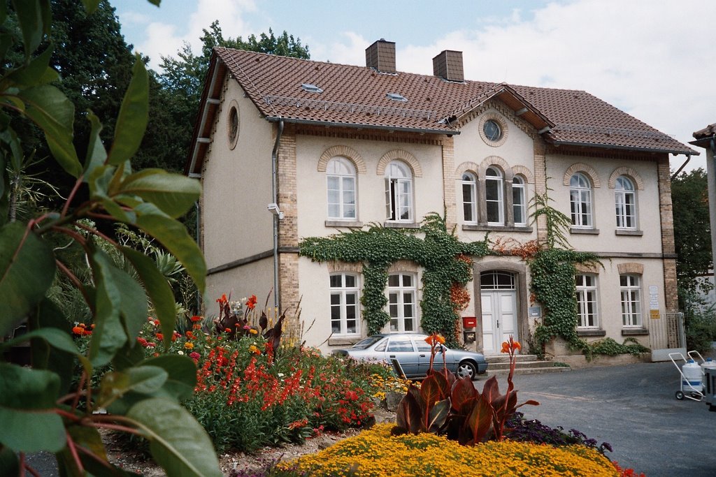 Botanischer Garten