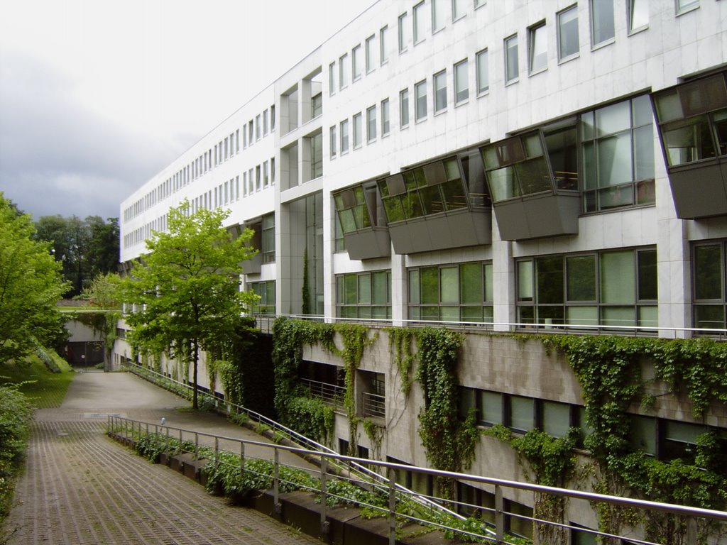 Göttingen (neue Bibliothek)