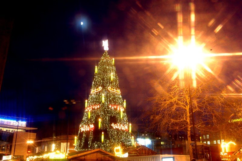Weihnachtsbaum 2008