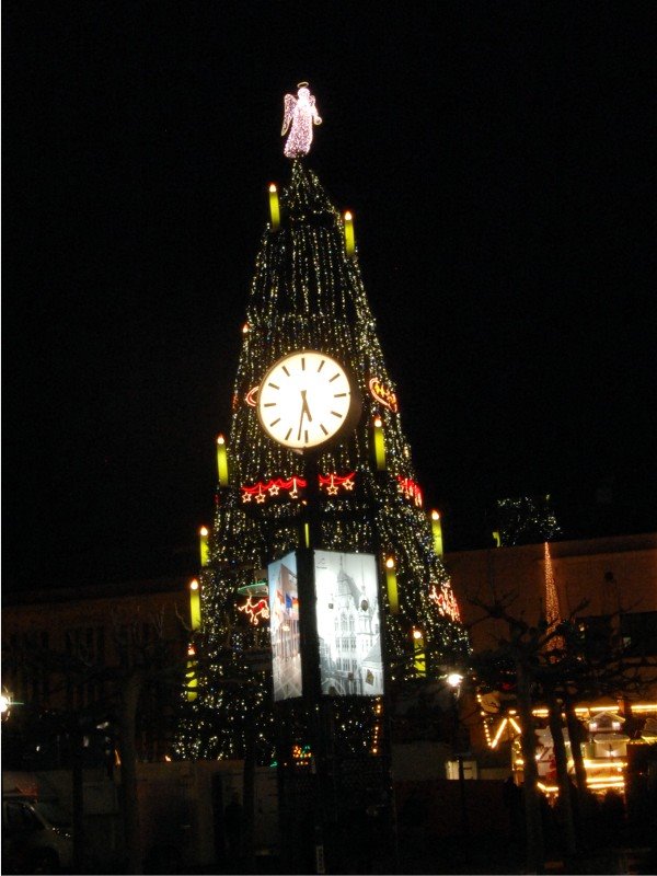 Weihnachtsbaum 2008