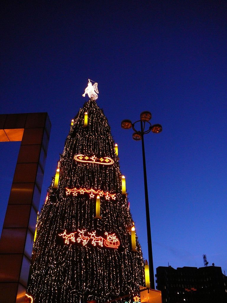 ¤{B} -Dortmund der Weihnachtsbaum 2008