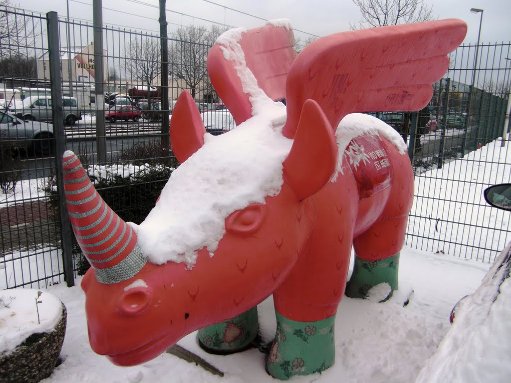 Akademie - Nashorn