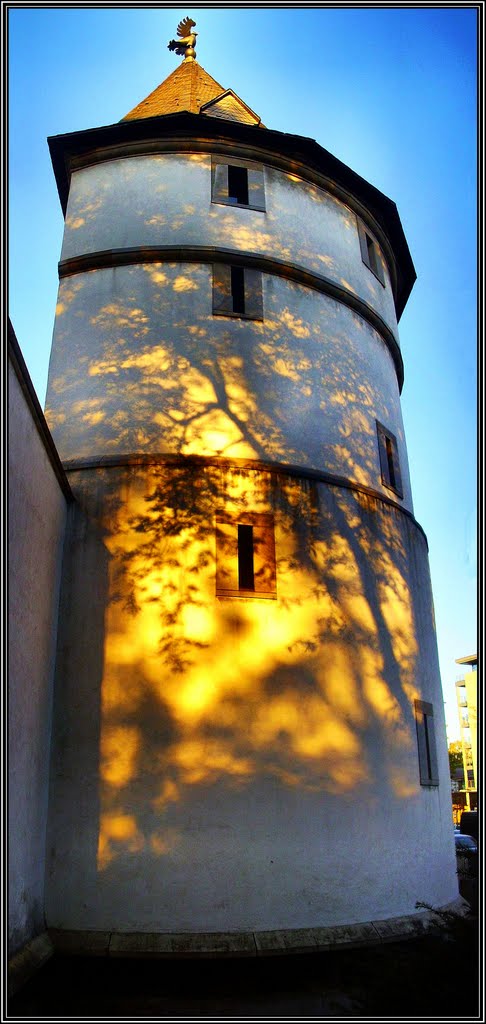 H©)•Oktober•2011 / Adlerturm