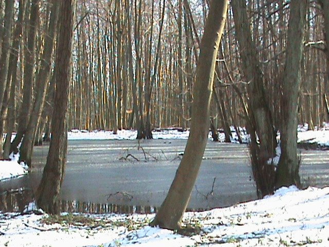 Moderstubbenausflug 08 (6)