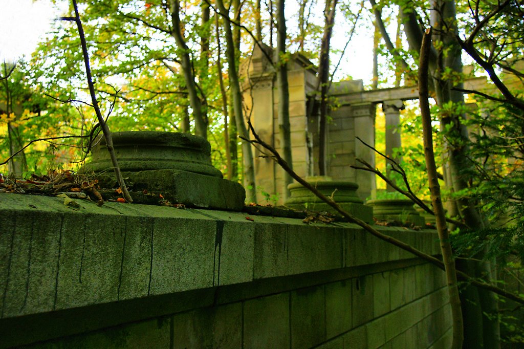 Detail