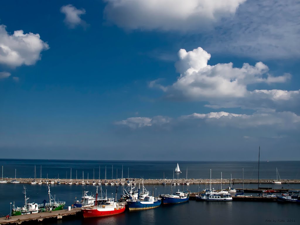 Sassnitz Hafen  2011