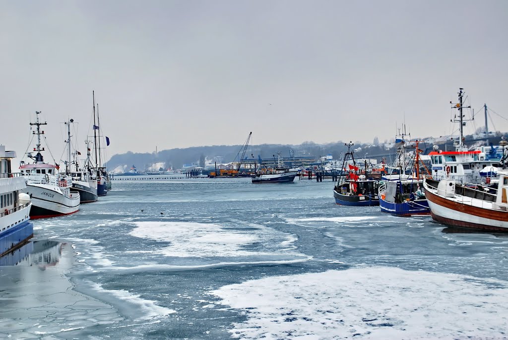 Fischereihafen im Winter - Sassnitz - Insel Rügen