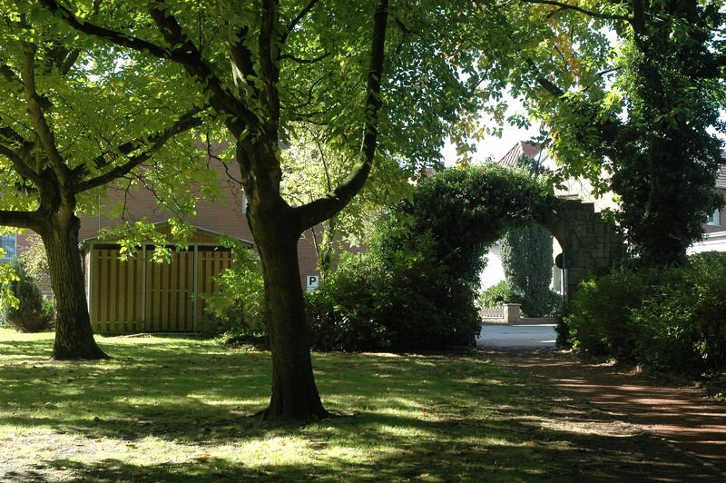 Am Park