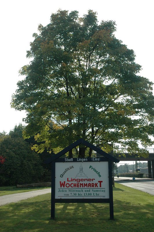Stadd sign of Lingen