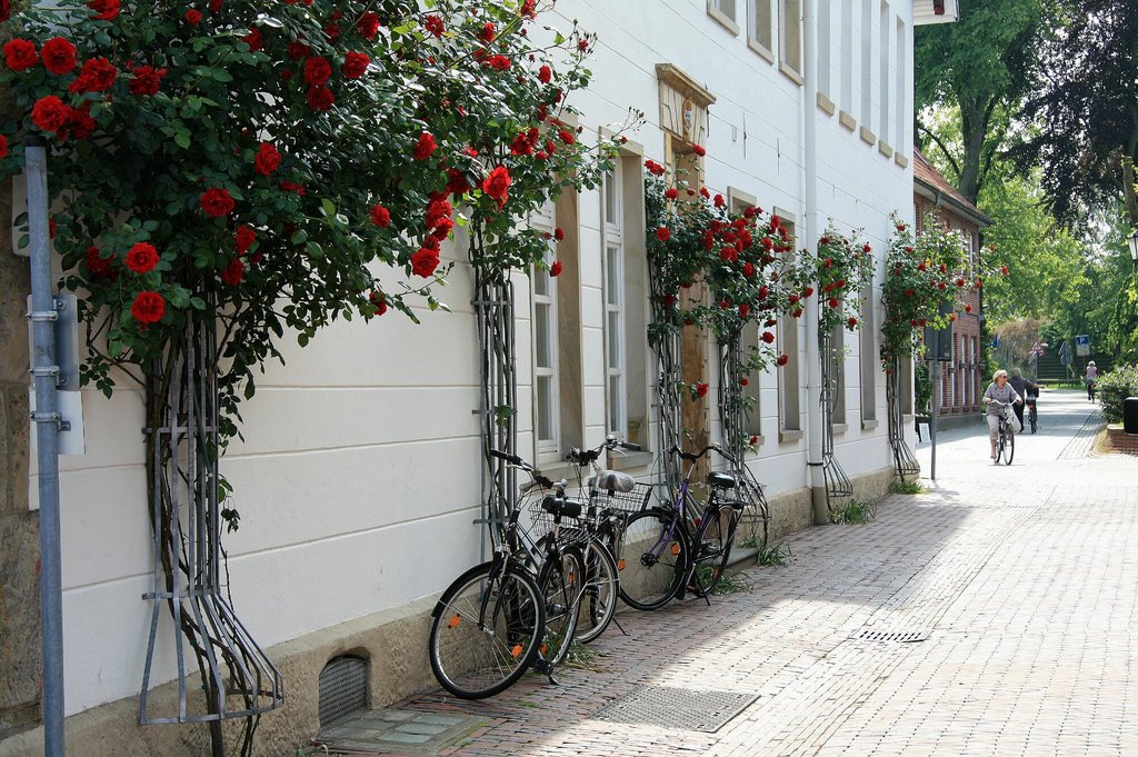 Lingen