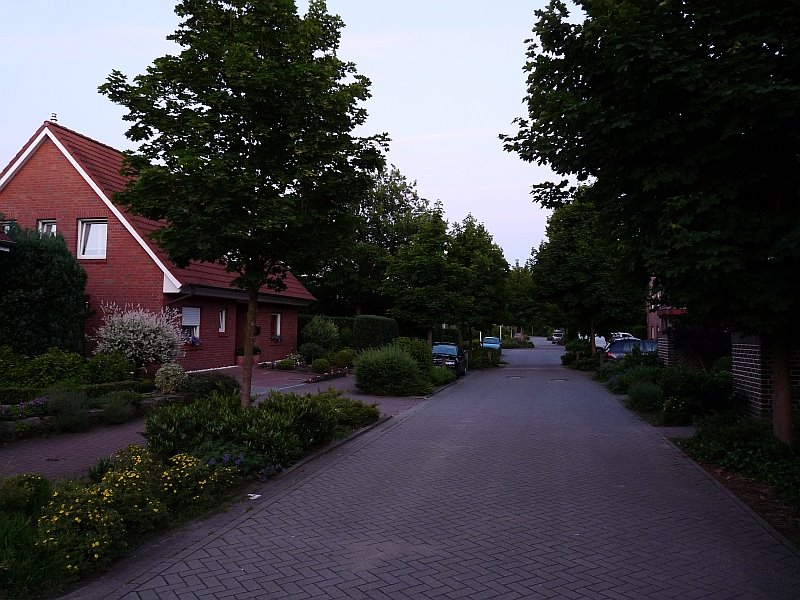 Eichhörnchenweg am Abend