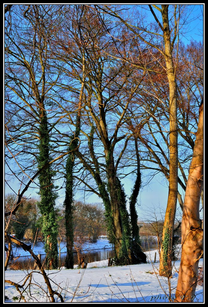 The streets of Lingen. 2. Lingen utcáin.