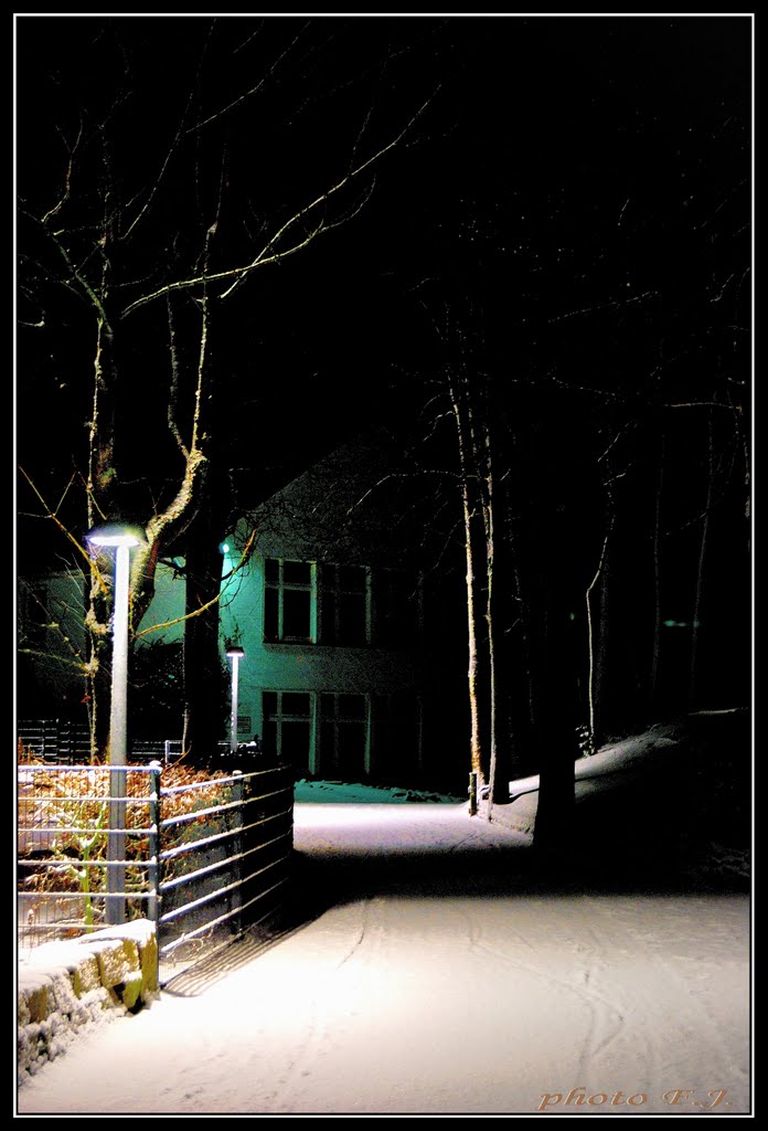 The streets of Lingen. 1. Lingen utcáin.