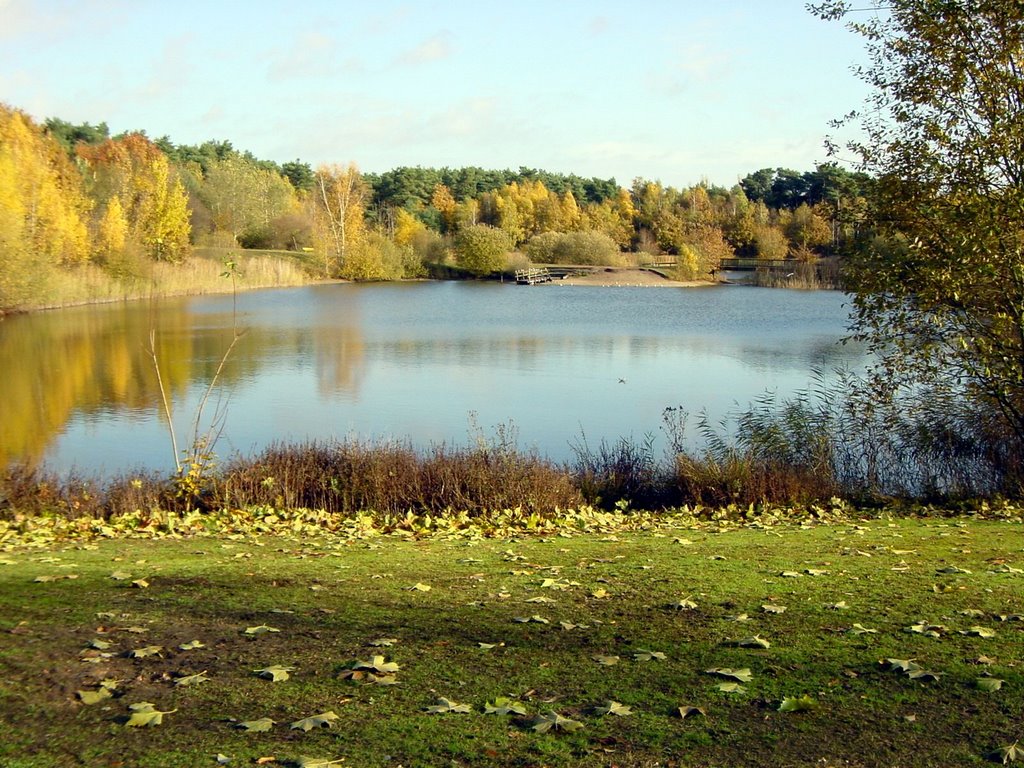 Telgenkamp See Lingen