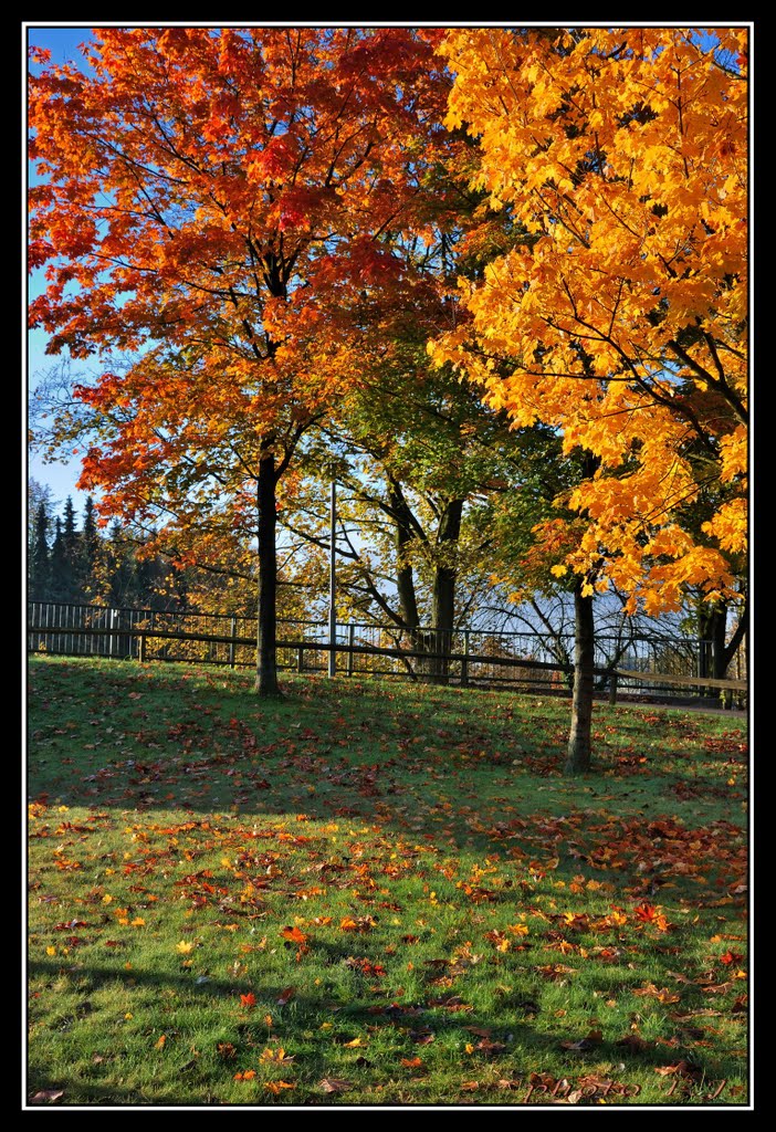 #43.  Autumn. Lingen. Ősz. Németország.