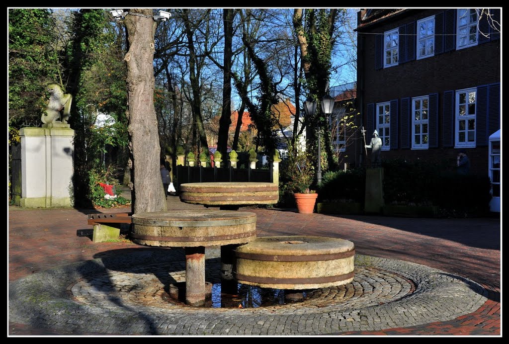 Lingen V.