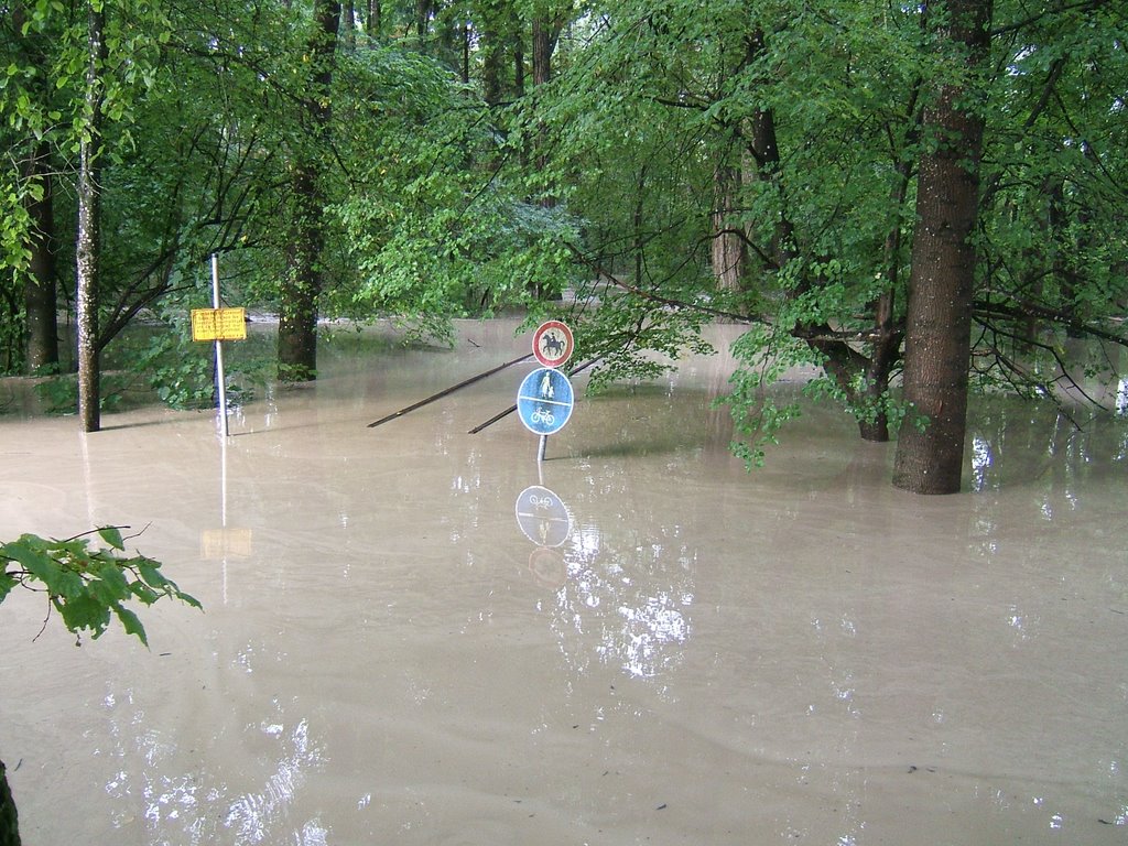 Hochwasser Aug. 2005