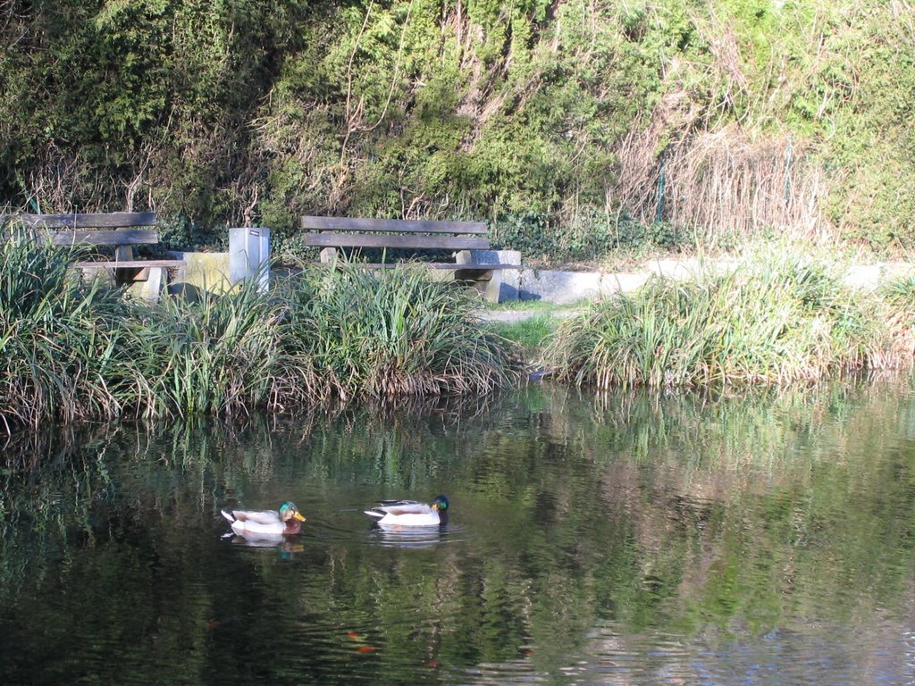 Mühldorfer Stadtpark