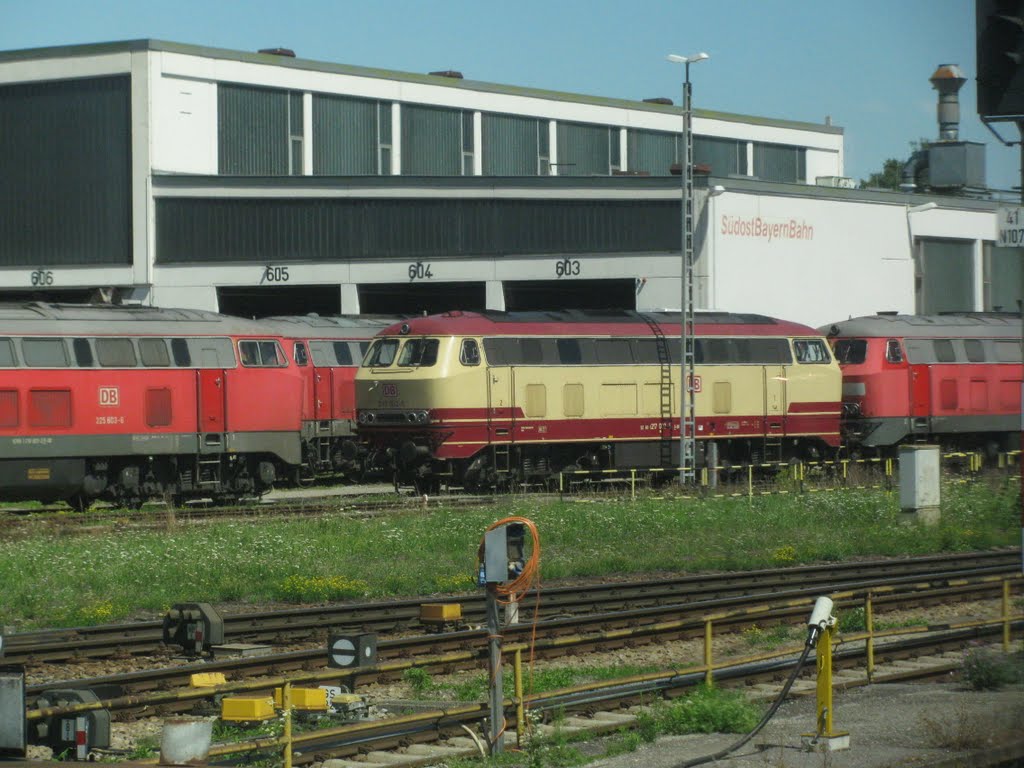 BR 217 in TEE- Lackierung
