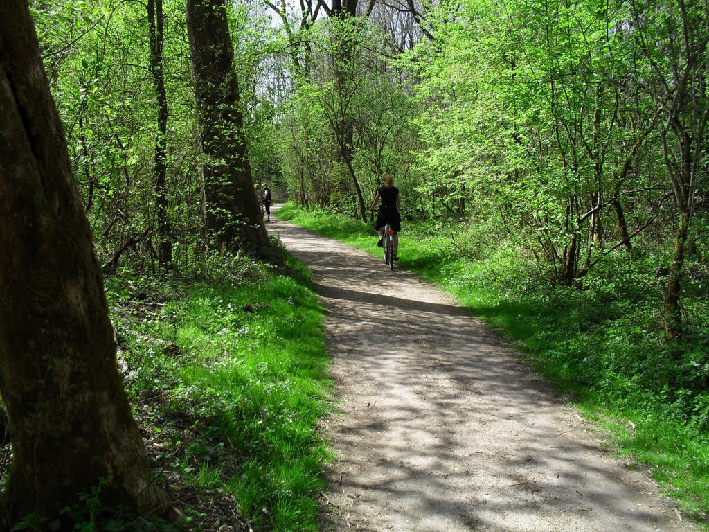 Mühldorf - Radweg am Inn entlang (10.04.11,So)