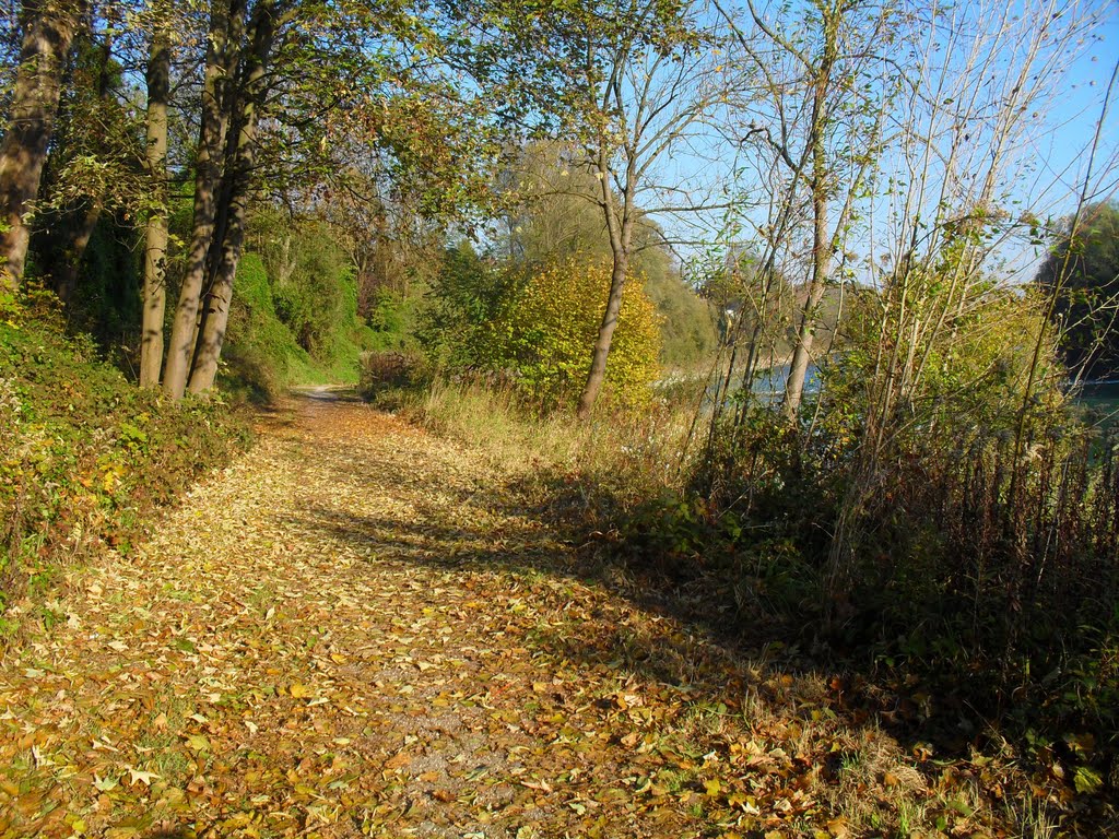 Am Inn nahe Mühldorf (23.10.11,So)