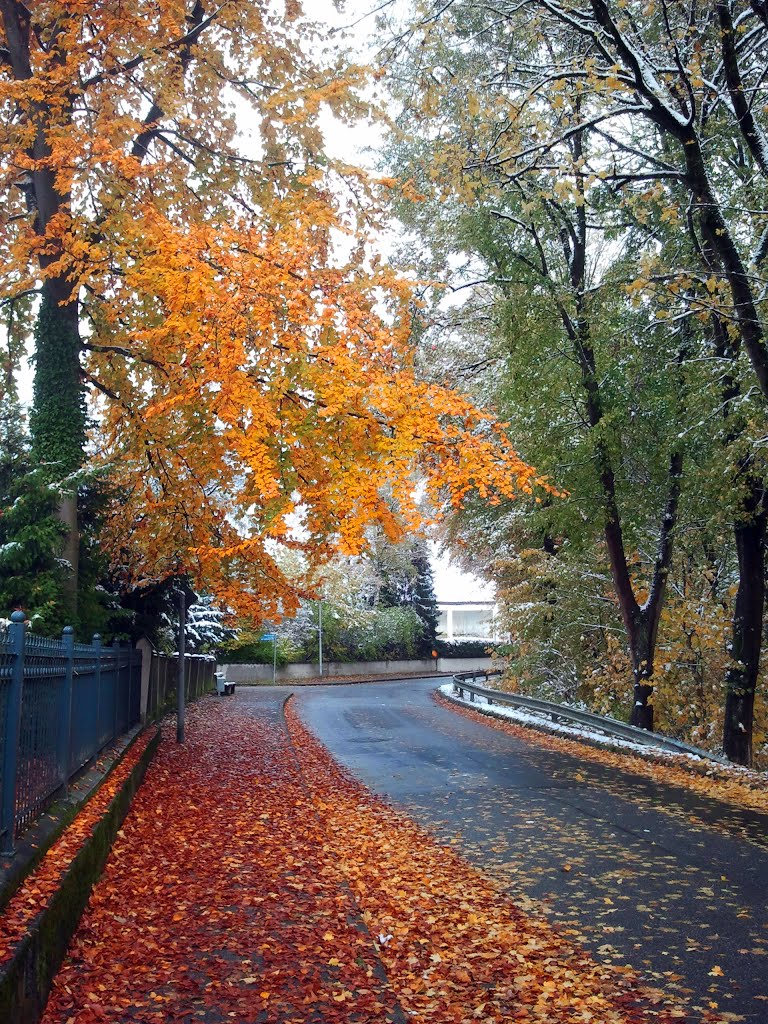Spaziergang / Mühldorf (28.10.2012, Sonntag)