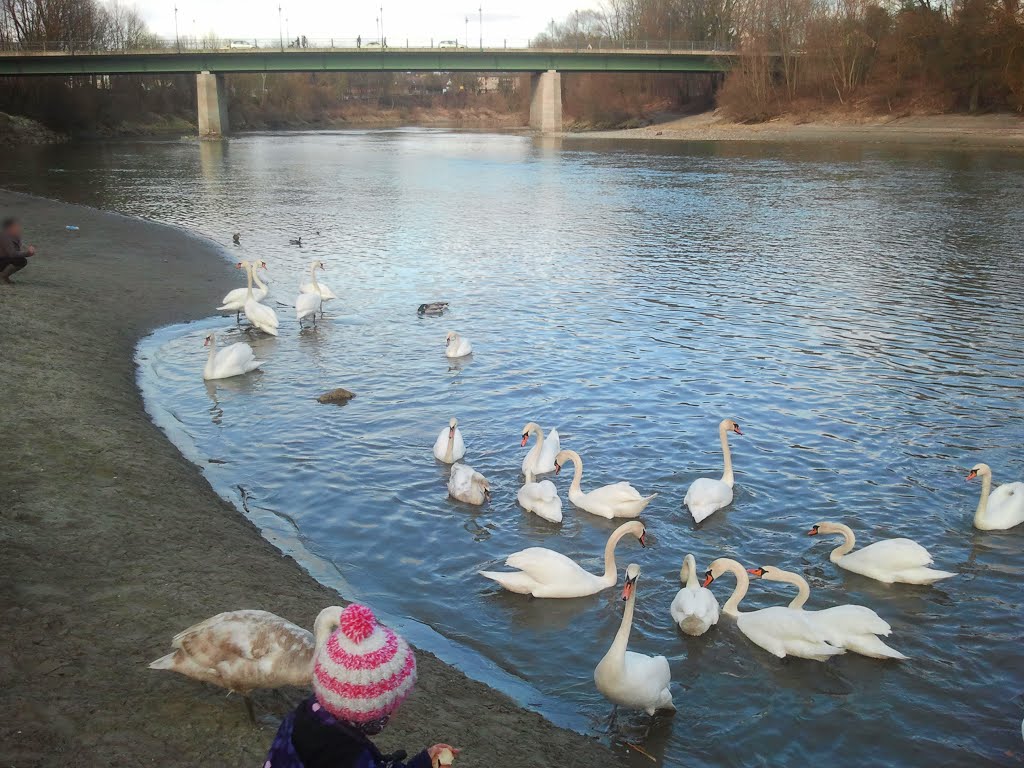 Mühldorf am Inn / Spaziergang (10.03.2013, Sonntag)