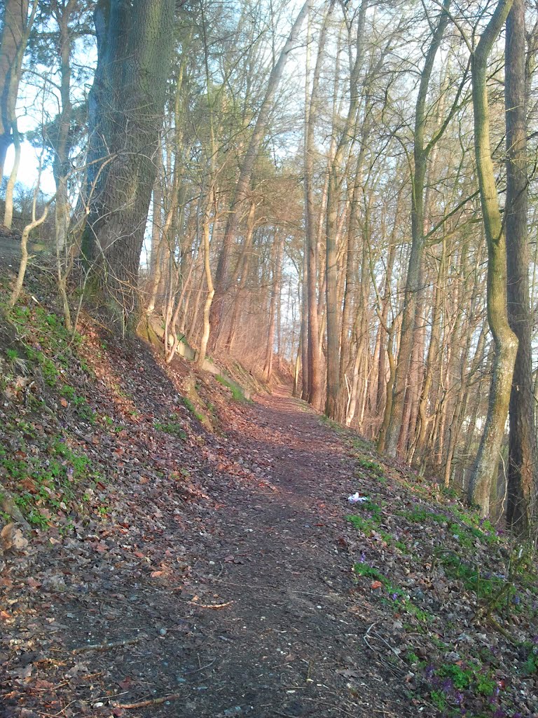 Spaziergang nach der Arbeit / Mühldorf (10.04.2013, Mittwoch)