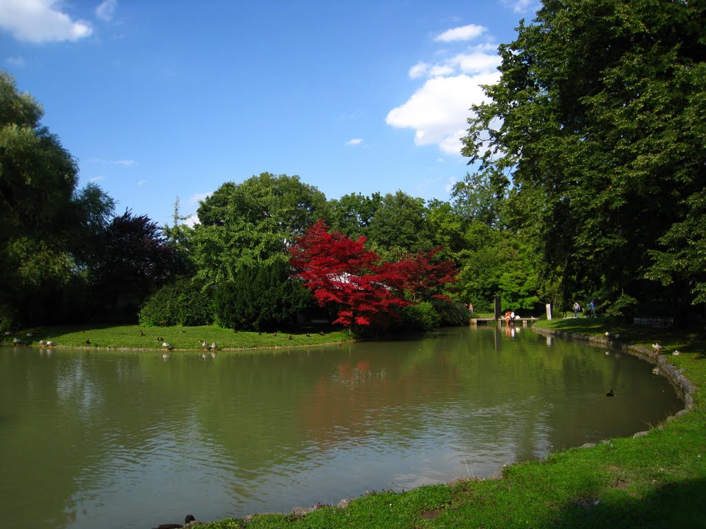 München, Englischer Garten, beim Japanischen Teehaus