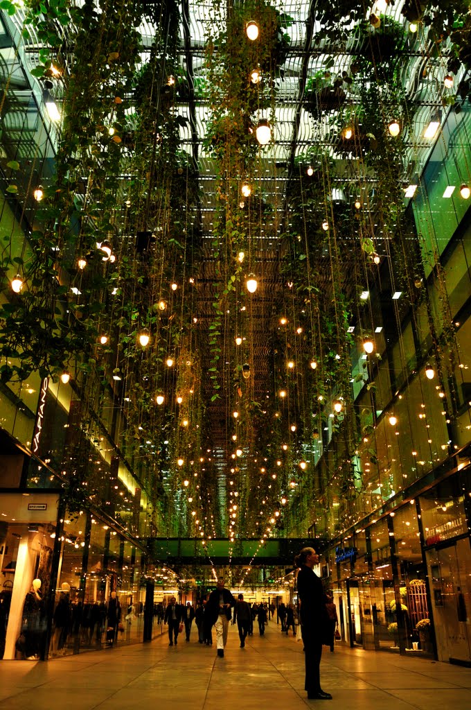 Lost in the City Jungle