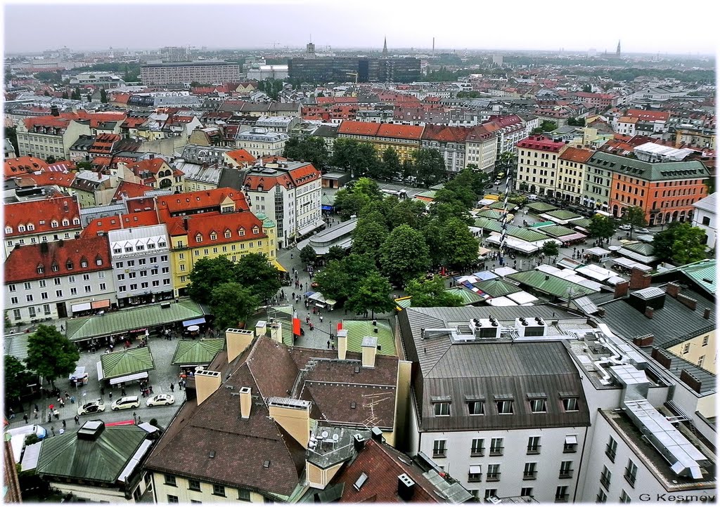 München