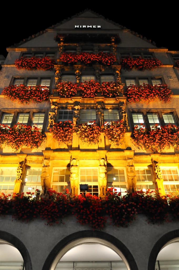 Roses by Night