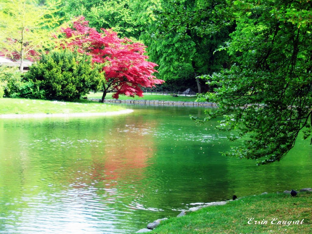 English Garden