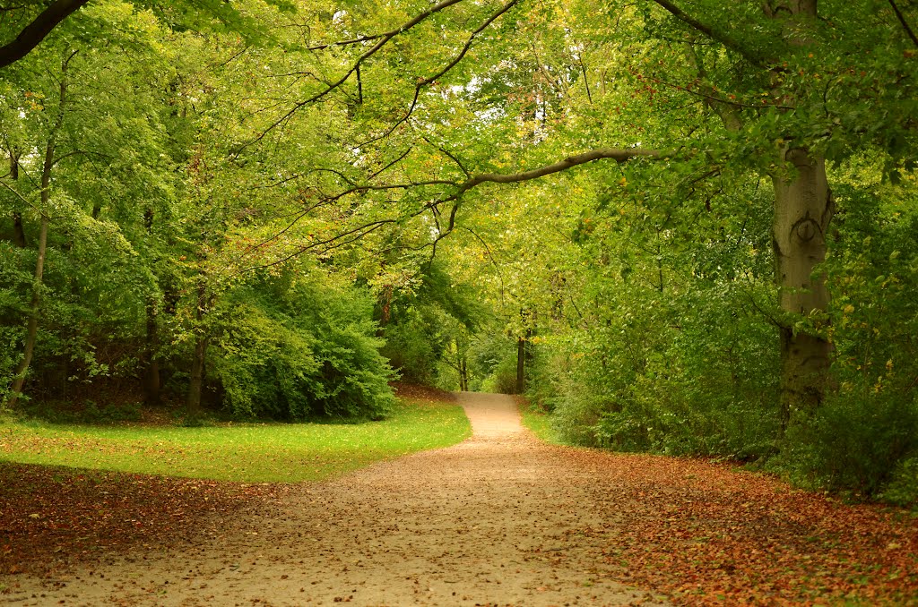 Germany - Munich - English Garden (Englischer Garten)