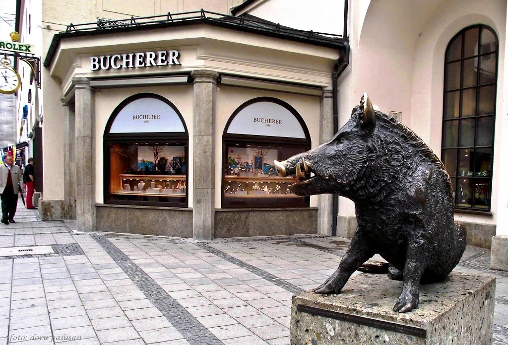 An old friend in München