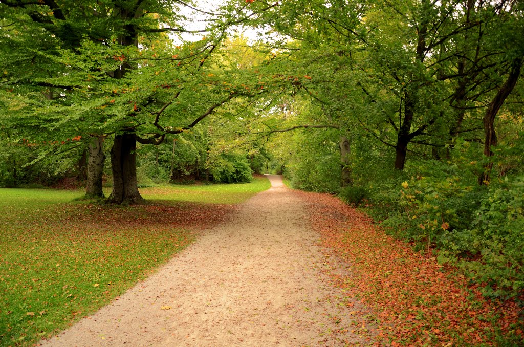 Germany - Munich - Englisher Garten